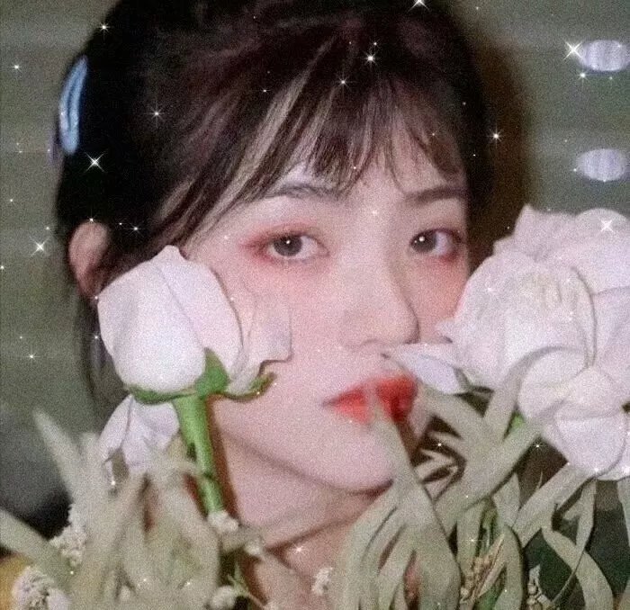 九十九个女人 高清封面
