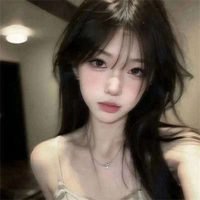 理想的丈夫 高清封面