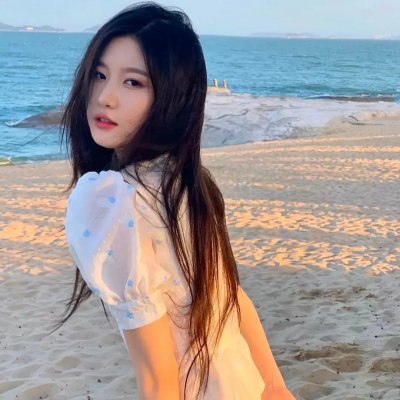 希德尼娅的骑士 高清封面
