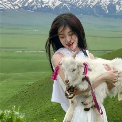 纽约大浩劫 高清封面